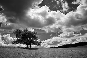 Gloomy Weather Forecast Drucke: Summer thunderstorms in black and white