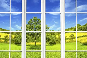Summer View