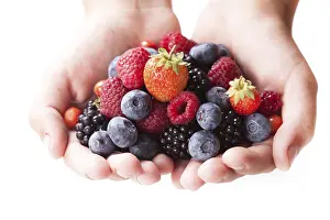 Summer Berries Drucke: Summer wild berries in hands - raspberry