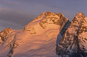 Austrian Mountain Range Drucke: Summit of Mt. Olperer, glacier