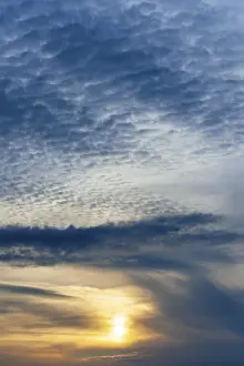 Evening Sun Glow Drucke: Sun behind cloud cover, sunset