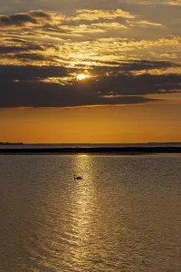 Bird Photography In Germany Drucke: Sun behind clouds, sunset, reflection