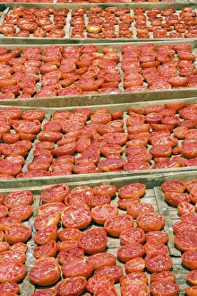 Mallorca Plant Life Drucke: Sun-dried tomatoes