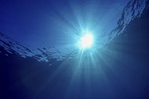 Underwater World Photography Drucke: Sun rays break through the surface of the ocean