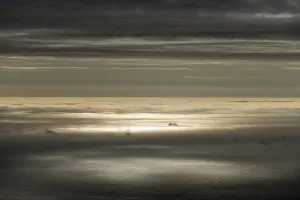 Denmark Coastline Drucke: Sun reflecting on the surface of the sea