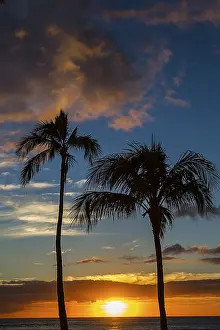 Palm Tree Landscape USA Drucke: Sun setting between two palm trees