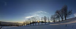 Bilder Datiert 11. Januar 2024: Die Sonne scheint durch nackte Bäume.