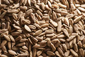 Healthy Eating Images Drucke: Sunflower seed kernels forming a full frame background