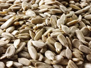 Studio Food Photography Drucke: Sunflower seeds