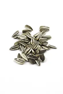 Sunflower Seed Drucke: Sunflower seeds in the shell