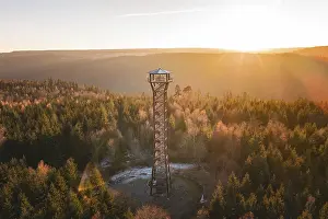 German Federal Republic Viewpoint Drucke: Sunlight breaks through trees, illuminates an observation tower