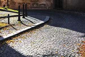 Autumn Street Scene Drucke: Sunlight in the fall on the pavement