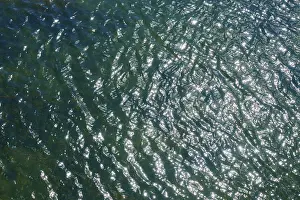 Drucke von Die Sonnenstrahlen spiegeln sich auf der wogenden Wasseroberfläche und erzeugen ein funkelndes Muster, Seahouses, Northumberland, England, Großbritannien Seahouses Drucke: Die Sonnenstrahlen spiegeln sich auf der wogenden Wasseroberfläche und erzeugen ein schimmerndes Muster