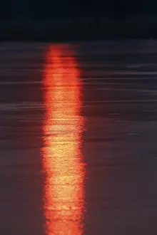 Middle Elbe Biosphere Reserve Drucke: Sunrise with reflection on the ice