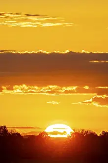 Overcast Sky In Germany Drucke: Sunrise, sky and clouds orange, Thuringia, Germany