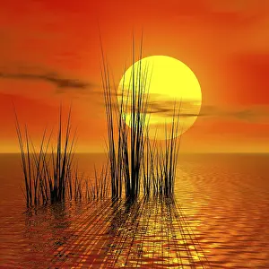 Gerahmter Druck : Sunset