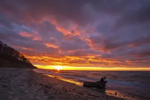 Deserted Forest Scene Drucke: Sunset Baltic Sea