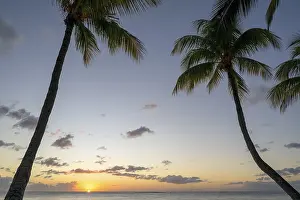 Drucke von Sonnenuntergang am Strand, Abendstimmung, Palmenbäume, Flic-en-Flac, Mauritius Mauritius Drucke: Sonnenuntergang am Strand, Abendstimmung.