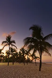 Palm Tree Silhouette Drucke: Sunset on the beach with palm trees