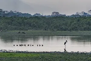 World Heritage Site Tourism Drucke: Sunset over the Brahmaputra river