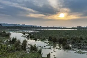 Atmospheric Light In Nature Reserve Drucke: Sunset over the Brahmaputra river