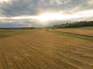 Cornfield Landscape Photography Drucke: Sunset on the cornfield, Gechingen