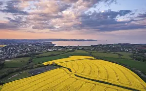 Northern Europe Sunset Scene Drucke: Sunset over Devon Fields and Farmlands from a drone