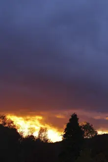 Evening Sun Silhouette Drucke: Sunset with dramitic dark clouds