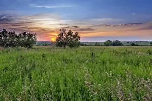 Evening Light Mood Drucke: Sunset over field of grass