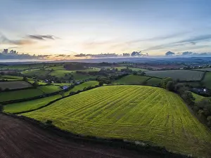Evening Sun In The Countryside Drucke: Sunset over Fields and Farms, Devon