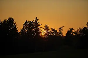 Upper Palatinate Scenery Drucke: Sunset over a forest in autumn