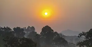 African Evening Sky Drucke: Sunset over the forest, Uganda