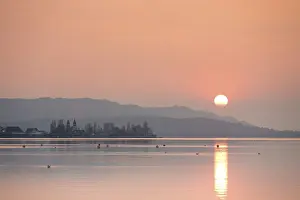 Backlit Lake Scene Drucke: Sunset at Gnadensee, Lake Constance
