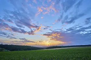 Dramatic Clouds Sky Drucke: Sunset over a green field with dramatic clouds and intense sky