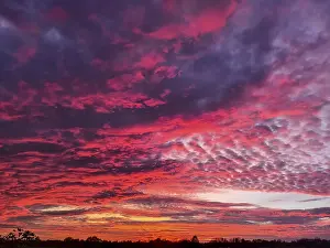 Evening Atmosphere Drucke: Sunset illuminating the sky with dramatic red