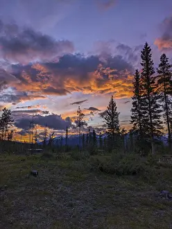 Jasper National Park Drucke: Sunset Jasper Alberta, Canada