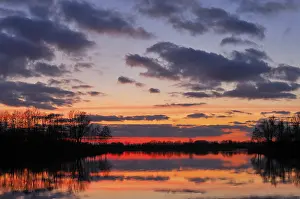 Evening Sky Reflections Drucke: Sunset on a lake with trees and clouds