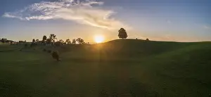 Aerial Photography Europe Drucke: Sunset with lime tree on Drumlinhugel