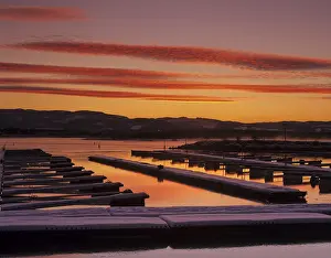 Serene Coastal Scene Drucke: Sunset and marina