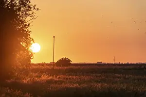 Benelux Evening Atmosphere Drucke: Sunset on the Marken Peninsula