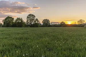 Peaceful European Landscape Drucke: Sunset in a meadow on a quiet spring evening