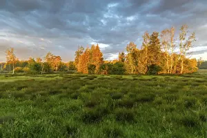 Cloudy Evening Sky Photo Drucke: Sunset over a meadow with trees
