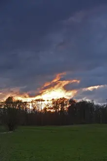 Evening Atmosphere In Central Europe Drucke: Sunset over the meadows with forest edge