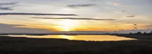 Sunset In Hungary Drucke: Sunset in the Mexikopuszta