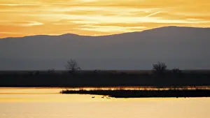 Atmospheric Light Of Sunset Drucke: Sunset in the Mexikopuszta