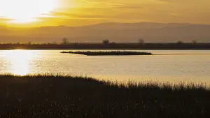 Nature Reserve In Central Europe Drucke: Sunset in the Mexikopuszta
