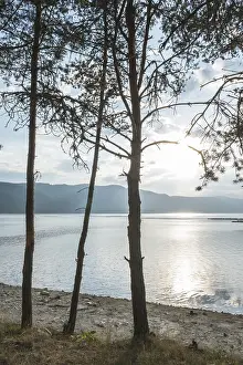 Deserted Evening Scene Drucke: Sunset on mountain dam. Pine trees