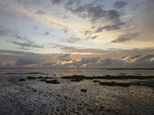 Northern Germany Scenery Drucke: Sunset, mudflats, sun, evening