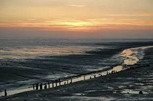 Atmospheric Light Of The Setting Sun Drucke: Sunset, mudflats, sun, evening