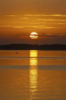 European Evening Sky Drucke: Sunset, near Chieming, Chiemsee